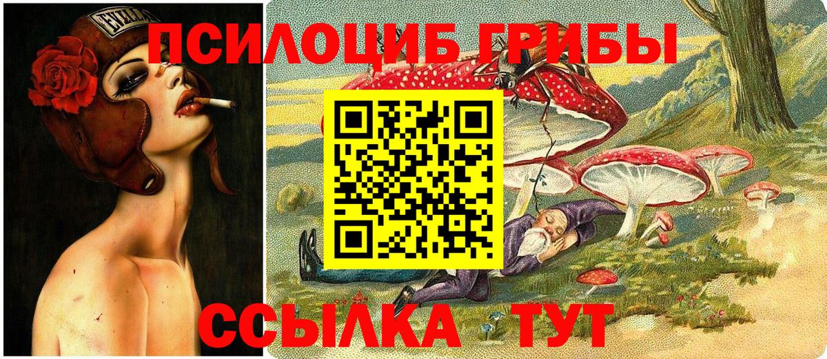 Псилоцибиновые грибы ЛСД Шадринск