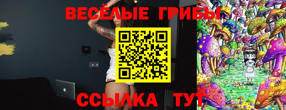 Галлюциногенные грибы ЛСД  Вход с VPN  Галлюциногенные грибы мухоморы  Шадринск 